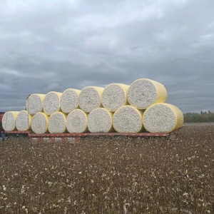 棉花，棉籽，皮棉，不孕棉大量回收