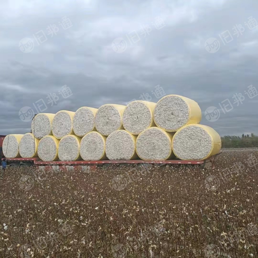 棉花,棉籽,皮棉,不孕棉大量回收