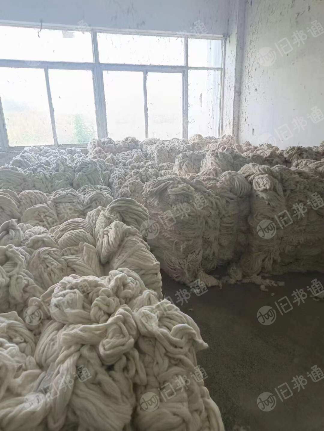 80棉20涤无光棉条大量出售