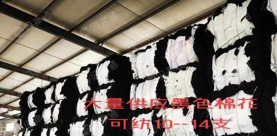 黑色开花棉,可纺10-14支,大量出售