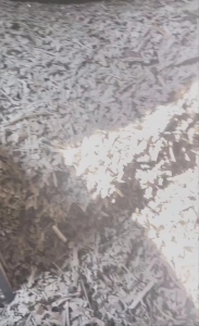 PVC壁纸破碎料，白色杂色都有，长期出售