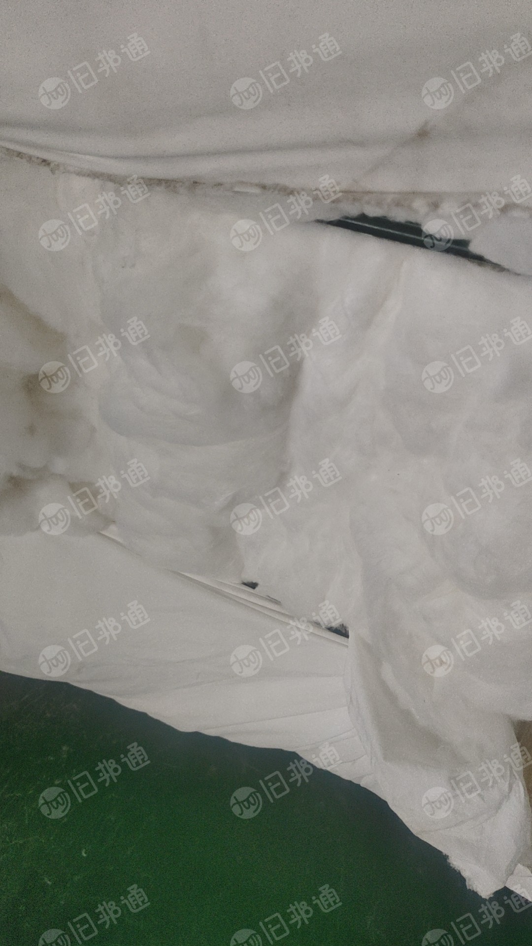 长丝硬边开花棉,开花料,绒长,大量出售