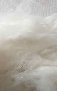 絮棉原料，纺纱原料，大量出售