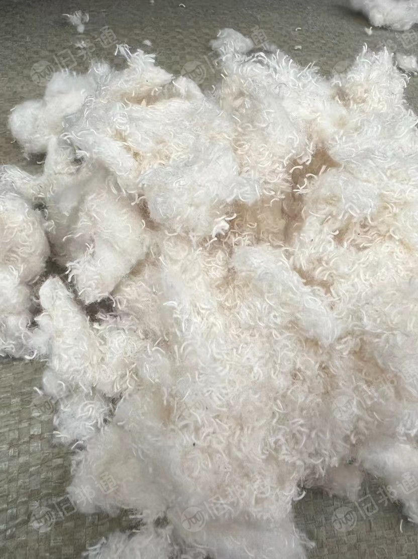纤维素原材料，毛巾绒，短绒，磨毛，纯棉漂白针织布碎，脱脂棉，大量出售