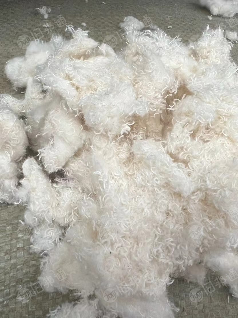 纤维素原材料,毛巾绒,短绒,磨毛,纯棉漂白针织布碎,脱脂棉,大量出售