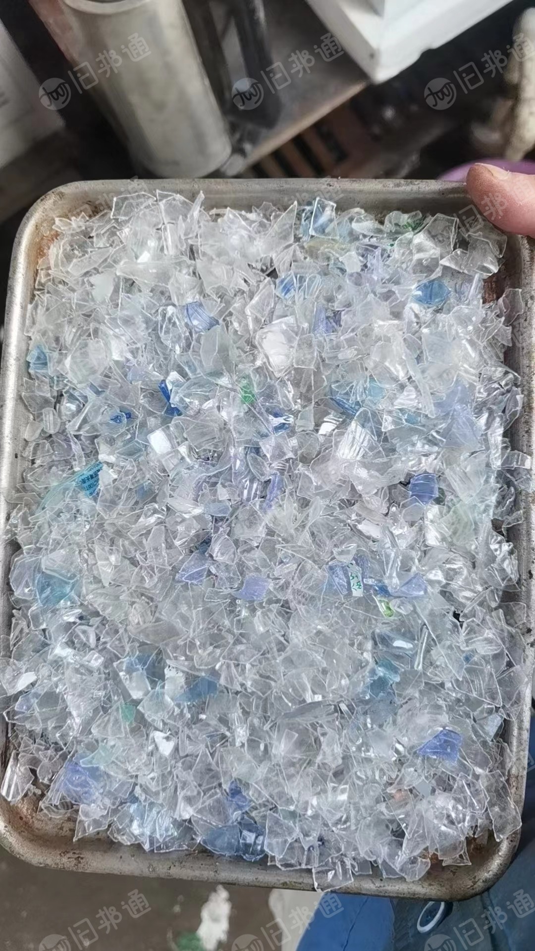 大量出售pet蓝白片,绿片