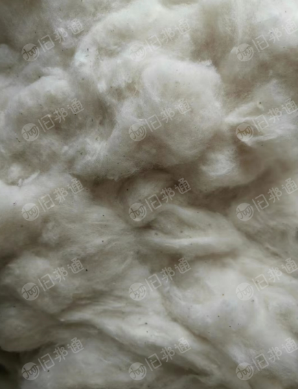 优质回收棉长期供应