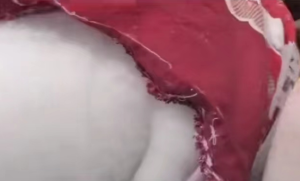 丝绵废料大量出售