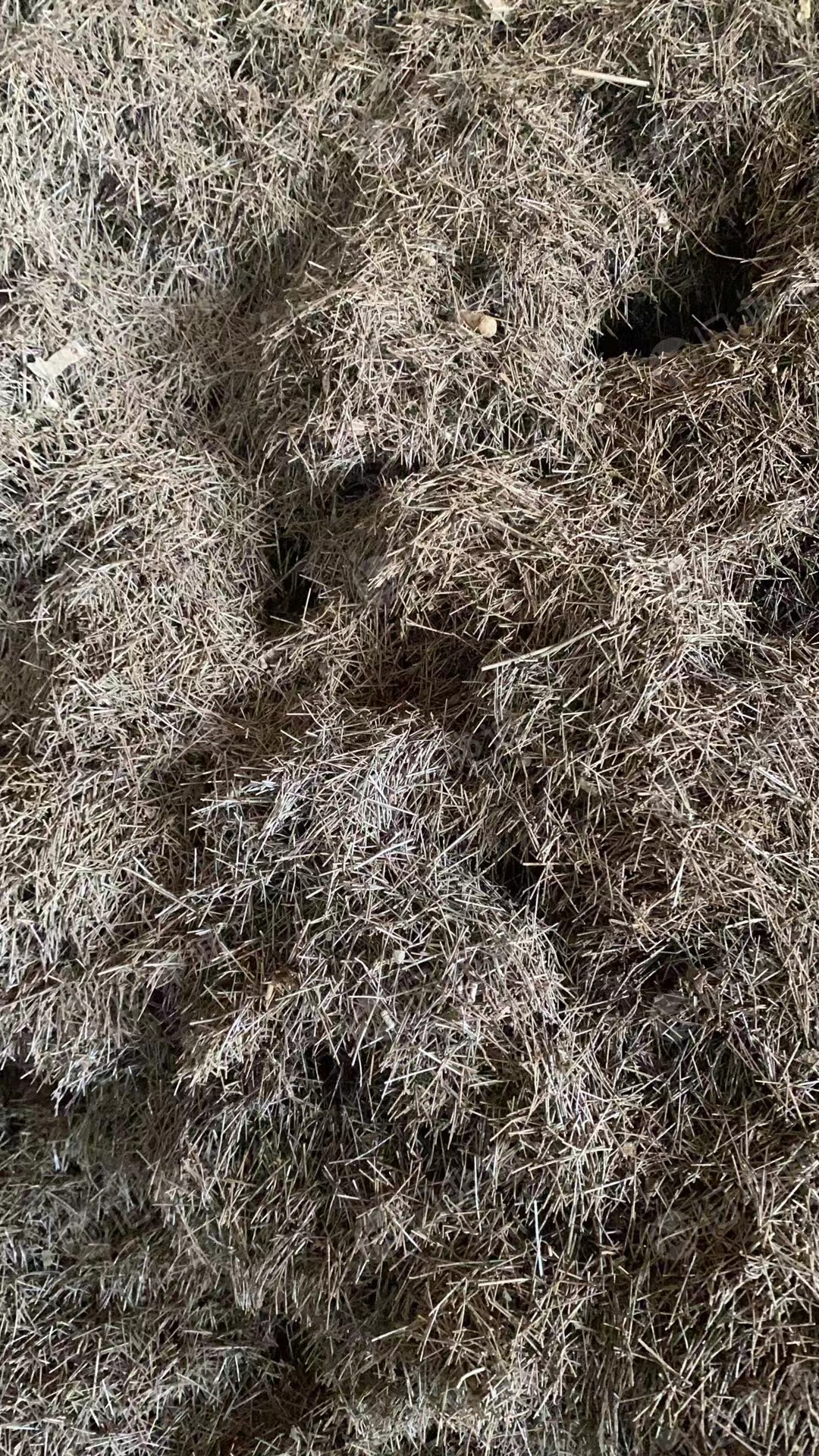 细铁针供应,现货100吨