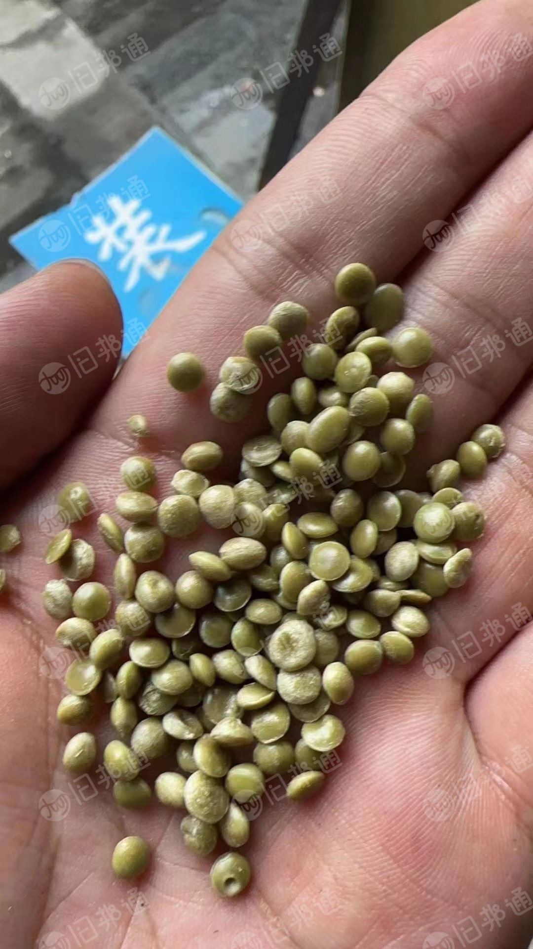 出售eps粒子现货2柜