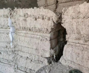 气流纺24支纯棉车肚大量出售