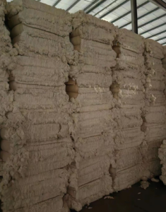 环锭纺纯棉好破籽大量回收，量大从优