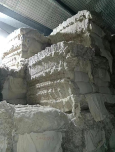 纯新疆棉四十支车肚花出售