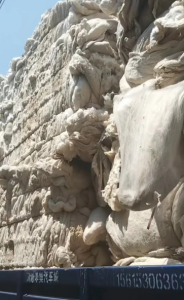 古棉压好包长期供应