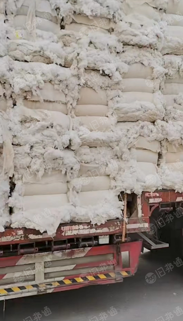 纯棉精纺车肚长期供应