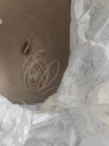 出售热熔胶块料eva的底料