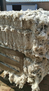 上纺破籽大量出售