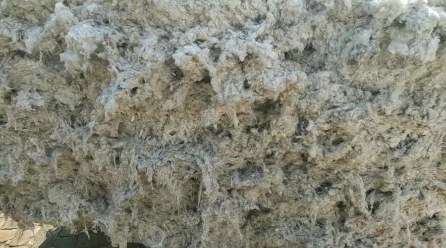 上纺破籽大量出售