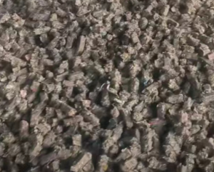 RDF燃烧棒大量出售