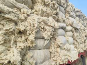 无三丝清弹棉，涤棉车肚，古棉天丝车肚出售