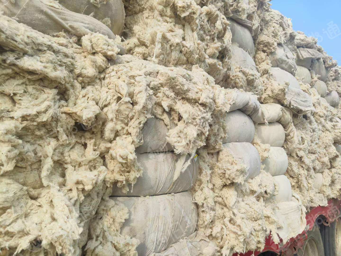 无三丝清弹棉,涤棉车肚,古棉天丝车肚出售