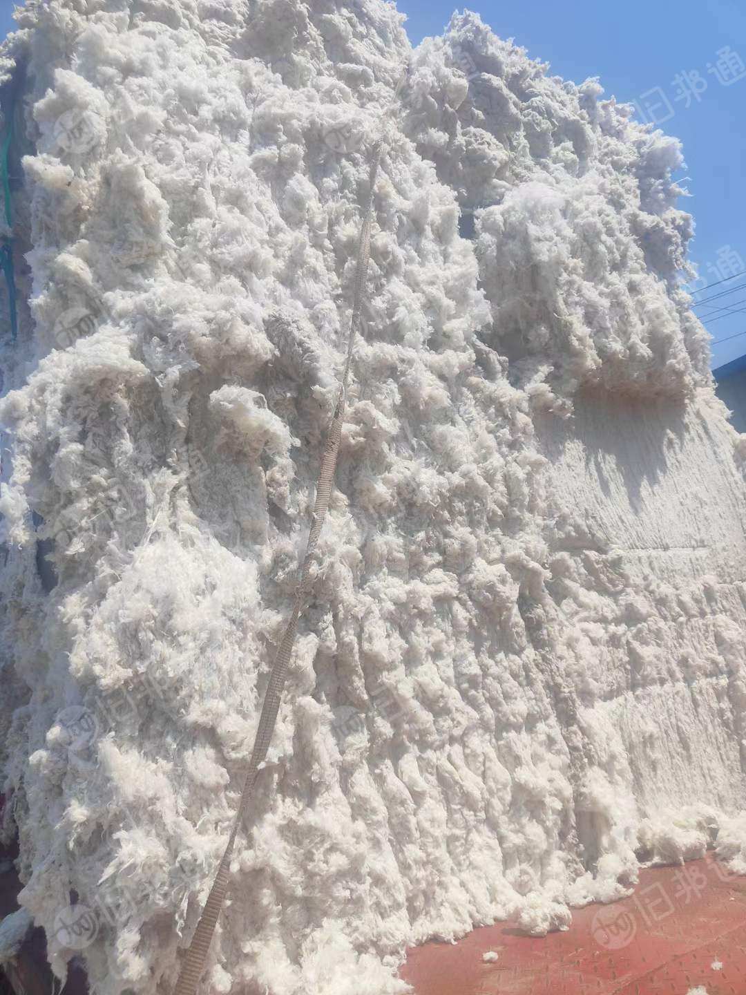无三丝清弹棉,涤棉车肚,古棉天丝车肚出售