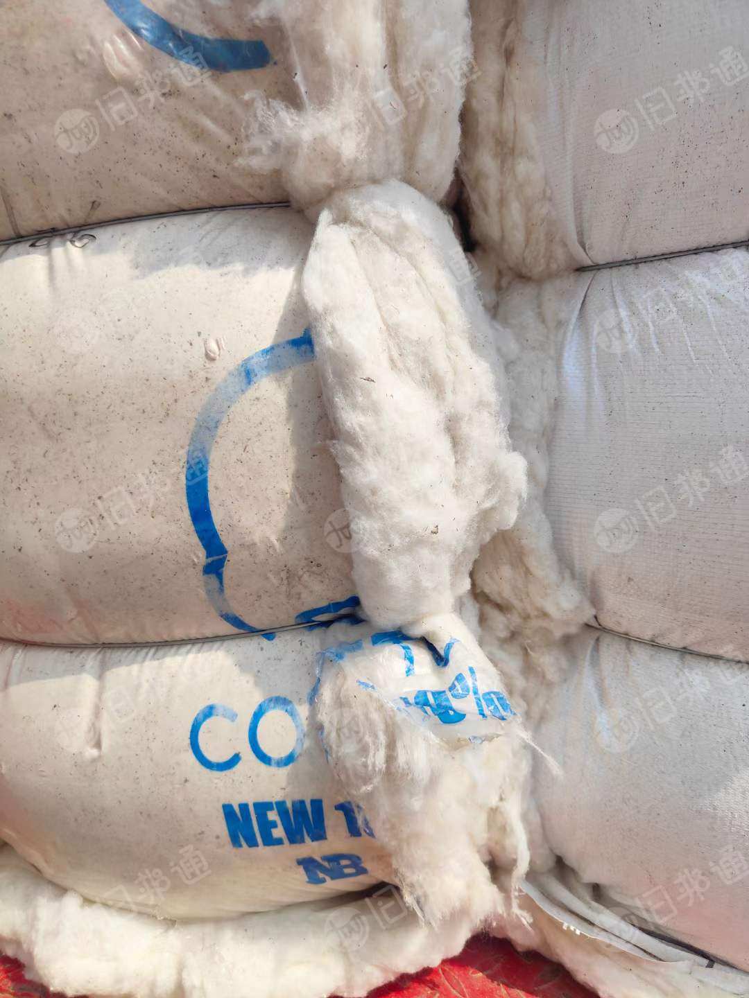 无三丝清弹棉,涤棉车肚,古棉天丝车肚出售