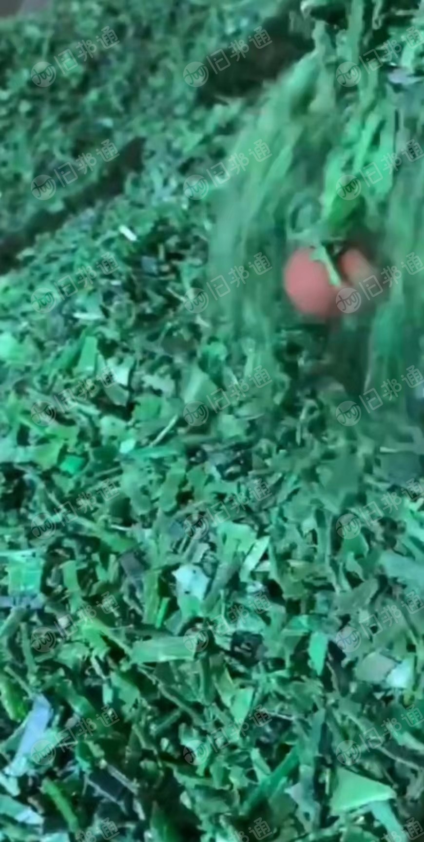 聚酯PET打包带破碎料长期出售