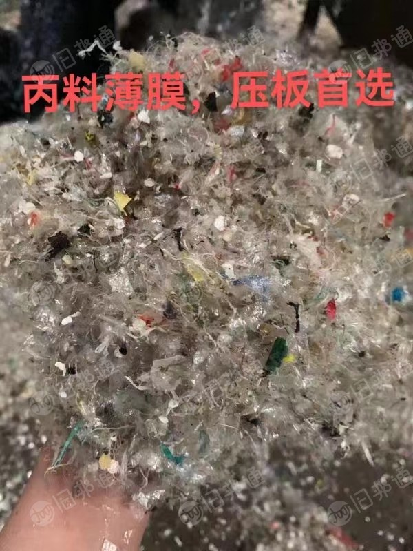 浮水PP膜破碎料，压板的首选大量供应