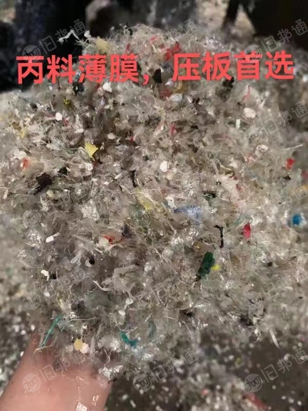 浮水PP膜破碎料,压板的首选大量供应