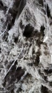 纯棉蚂蚁棉,线头多一点，大量出售