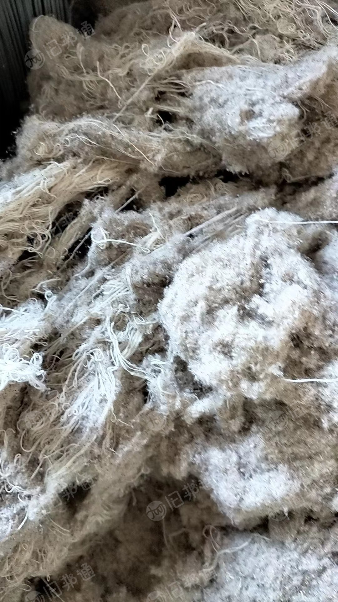 纯棉蚂蚁棉,线头多一点,大量出售