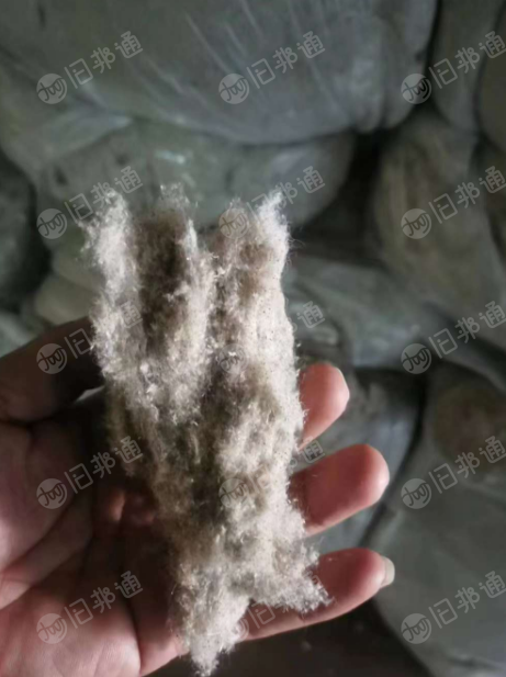 纯棉蚂蚁棉,八九十吨现货出售