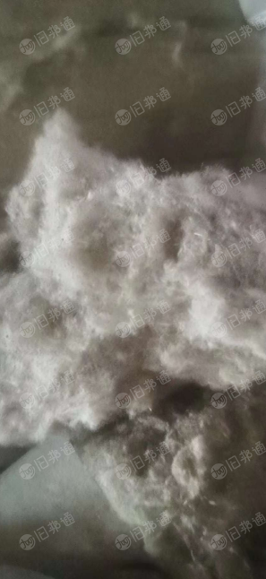 纯棉蚂蚁棉,八九十吨现货出售
