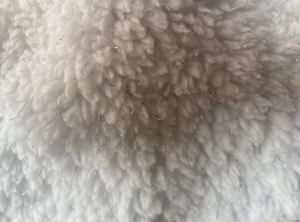 银丝舒面绒2.3×210克  5吨出售