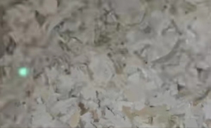 白色PVC破碎料出售，长期有货，广东东莞厂