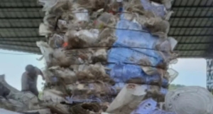 PP透明丙破碎料出售，现货20吨，长期有货