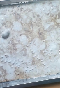 涤纶泡料，氨纶泡料，长期大量出售