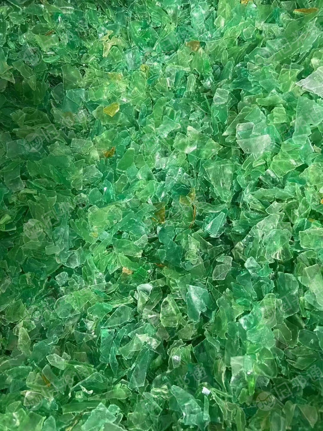 大量出售热洗绿片