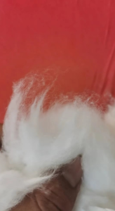 黏胶开花棉长期大量供应