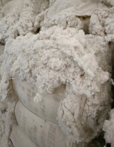 纯棉精纺无三丝车肚11吨出售