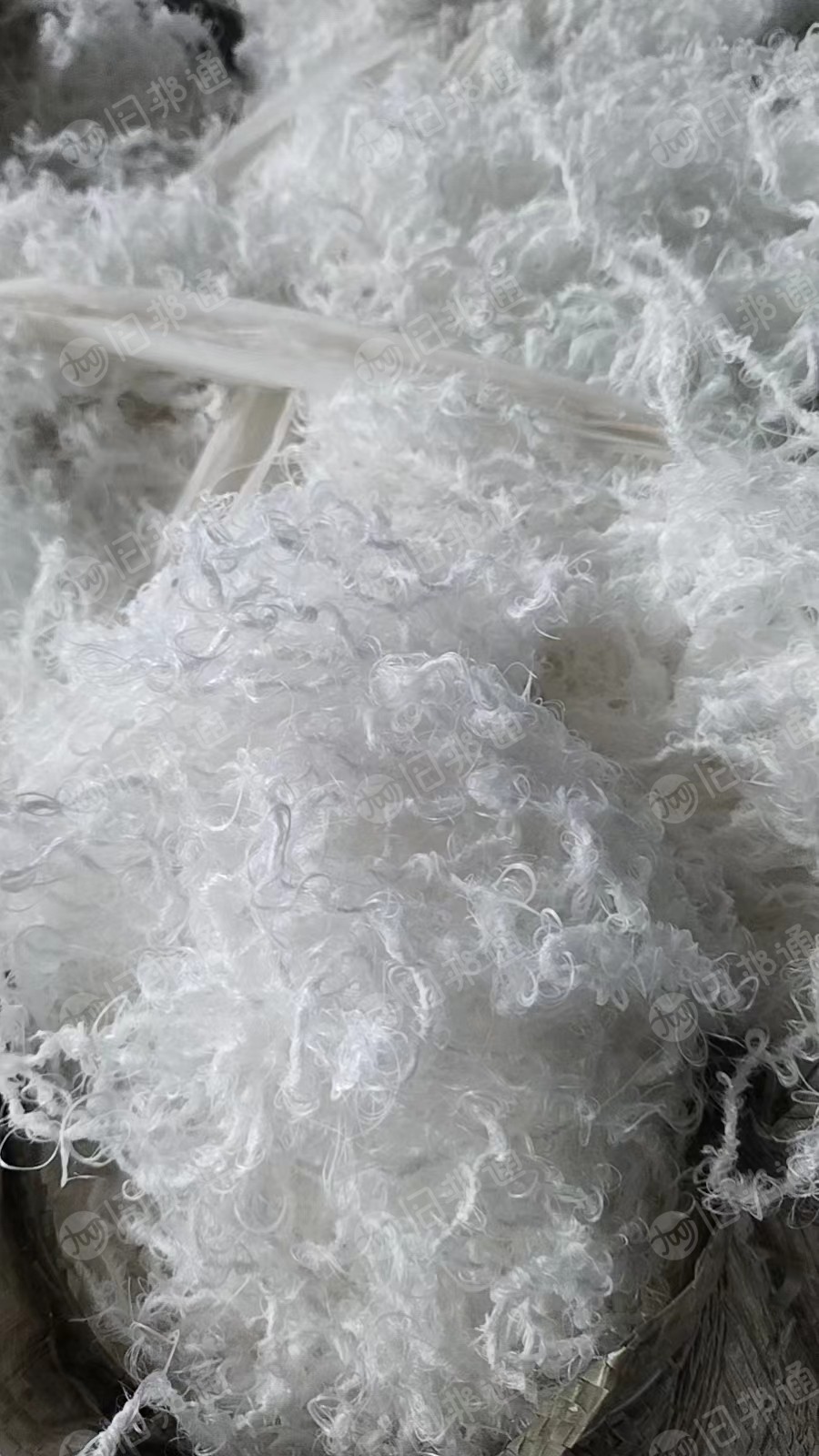 涤纶水丝,涤纶长丝,弹丝,月供150吨