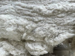 纯棉32支车肚已经够车低价出售