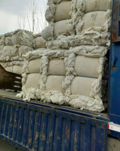 长绒车肚长期大量供应