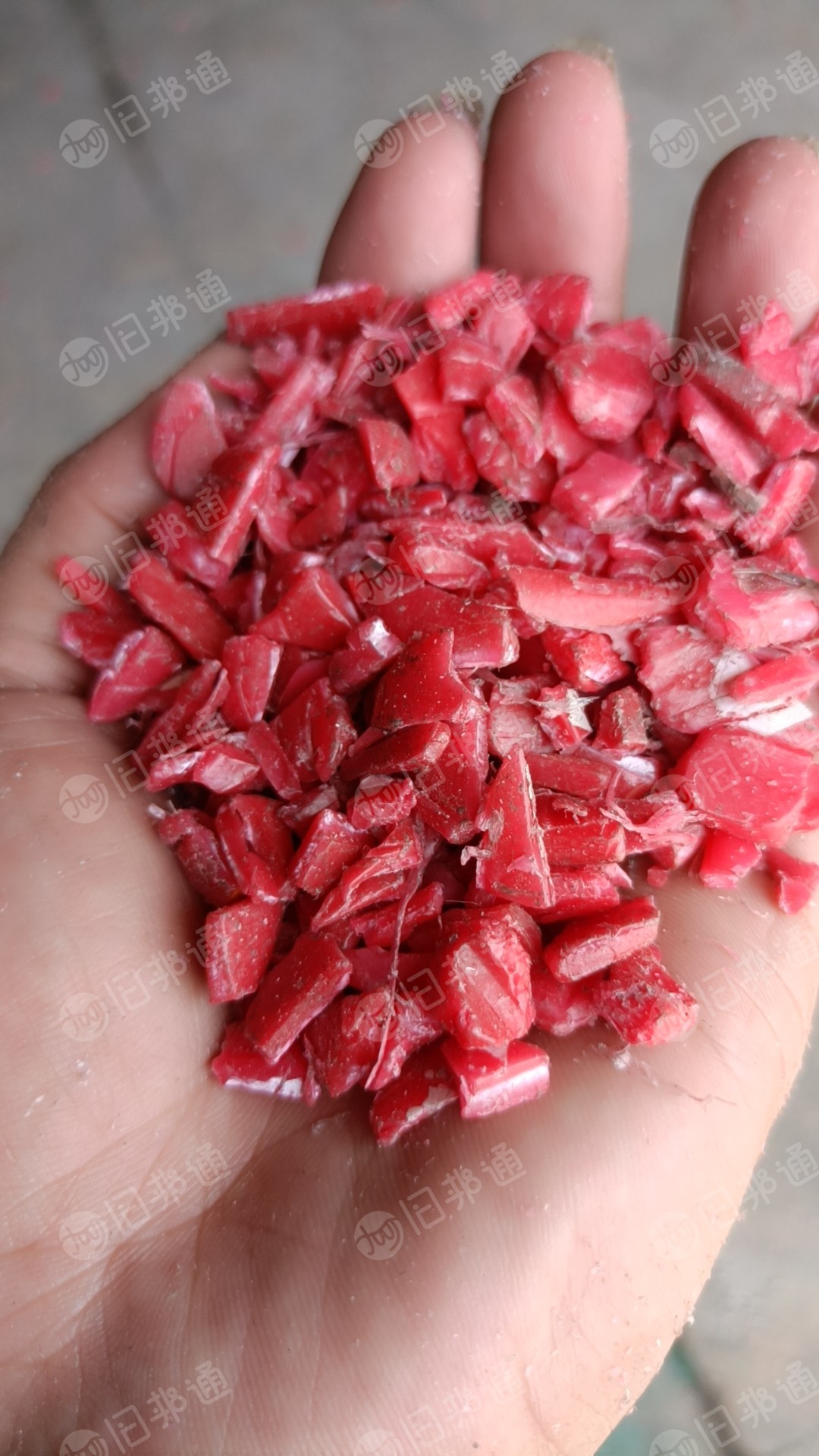 原生啤酒框粉碎料,低压框破碎料大量出售