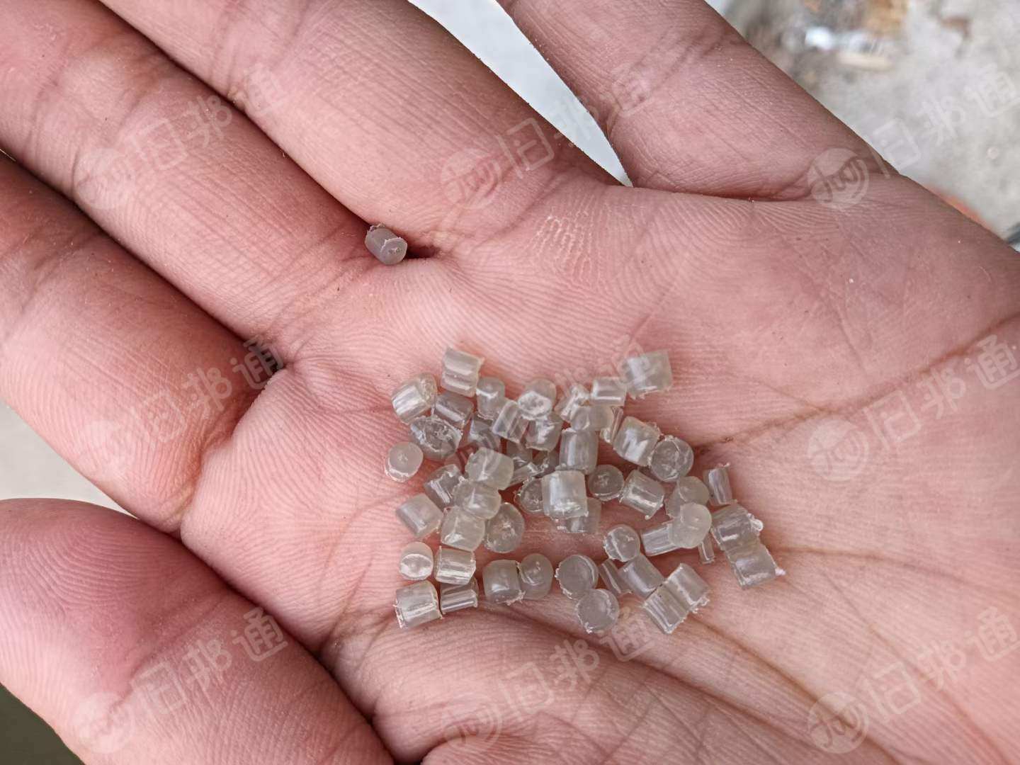 出售纯eva颗粒