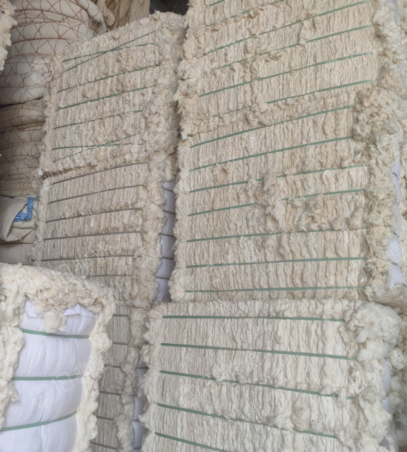 旧棉学生棉长期大量回收
