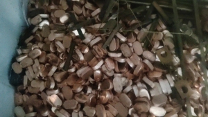 处理一批光亮铜，9吨左右