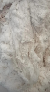 新疆三丝棉长期大量供应