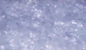 PET膜破碎料常年出售